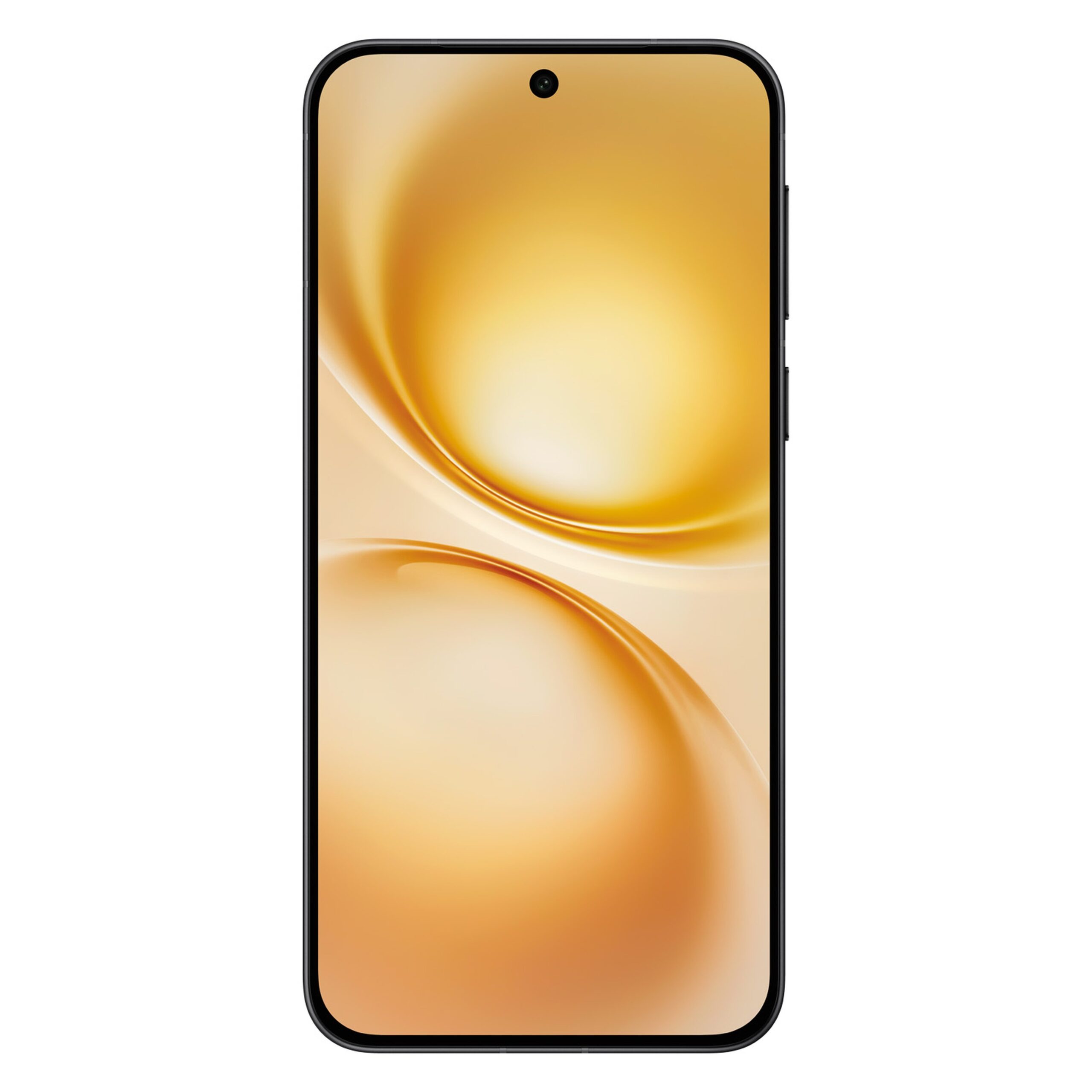 3a492414-a291-4087-bd0f-46dbf40b5528_size3840_cropCenter