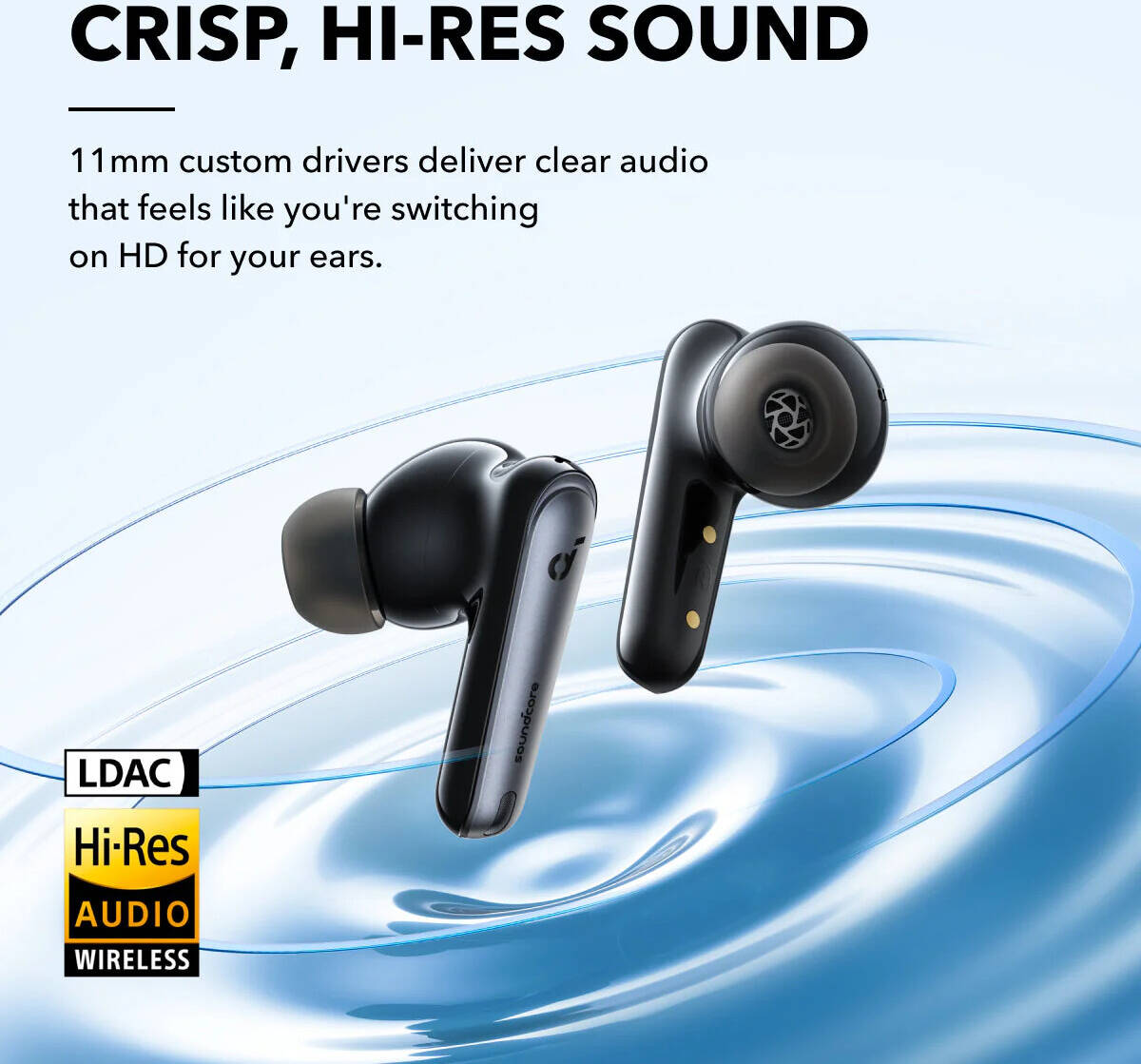 41313b07125c06947a5f782f32719b4c-hi